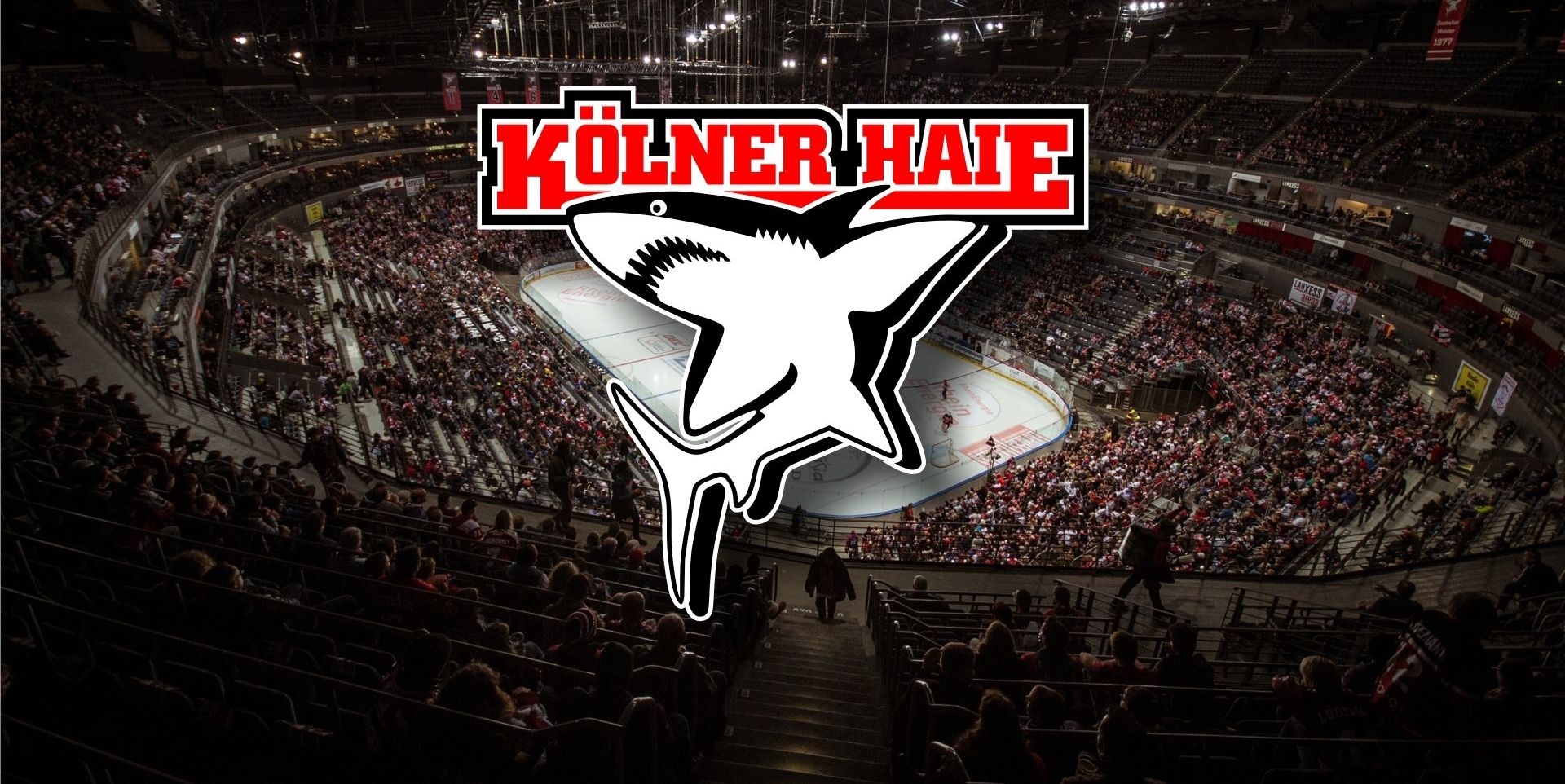 Mahon „Das Resultat macht uns nicht glücklich. Eine Trainerdiskussion