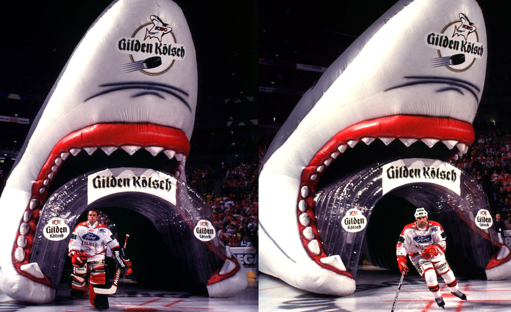 eishockey kölner haie heute