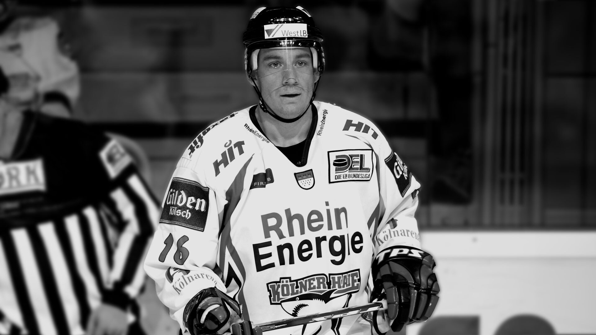 Die Kölner Haie trauern um Sean Tallaire Haie.de