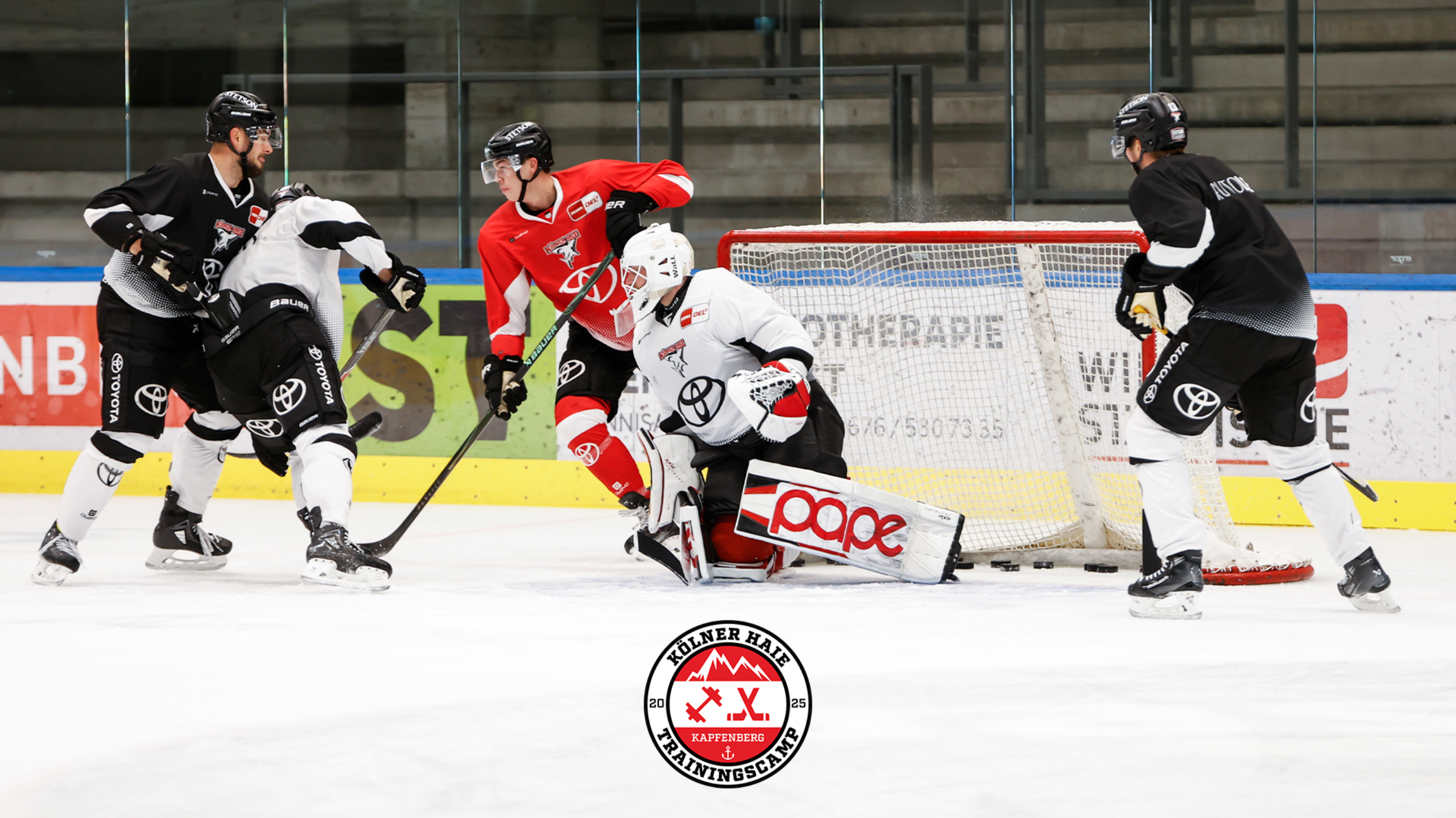 Jéssica patez onlyfans Jéssica Patez Vídeos grátis.